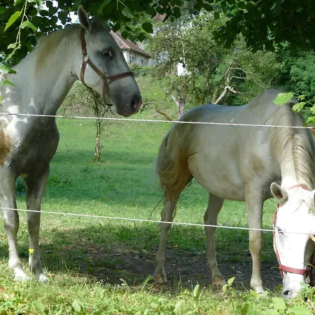 House 1797 - Charm Of Slovenian Vintage Apartman *