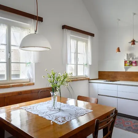 House 1797 - Charm Of Slovenian Vintage Apartment