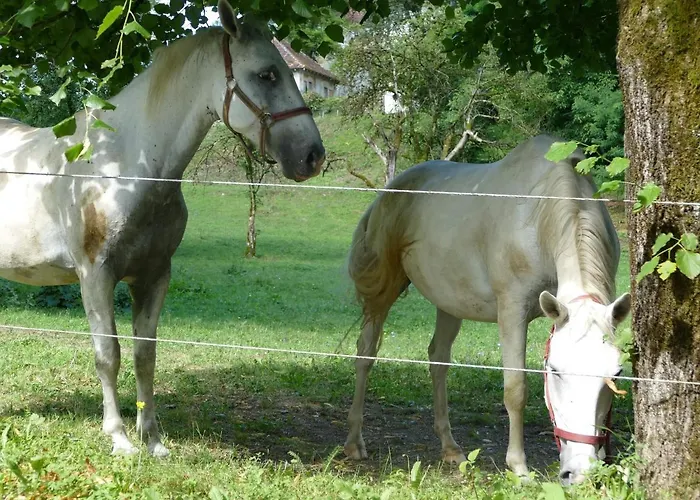 House 1797 - Charm Of Slovenian Vintage Appartamento *