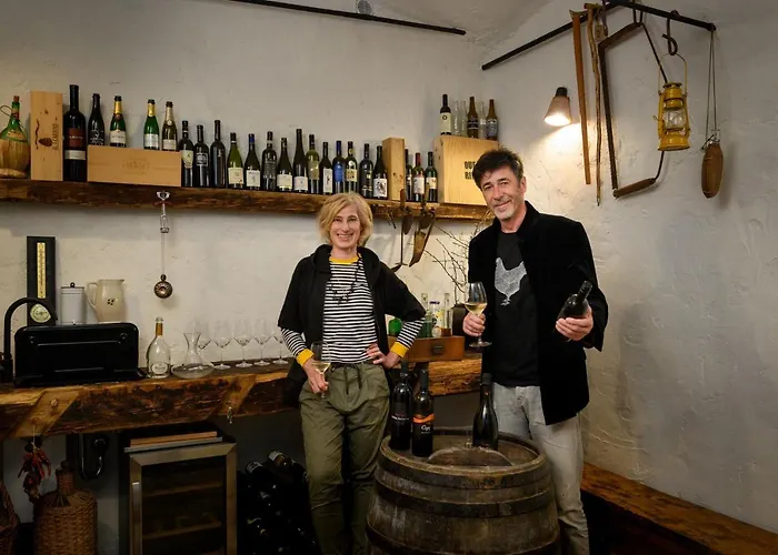 House 1797 - Charm Of Slovenian Vintage Appartamento Dob