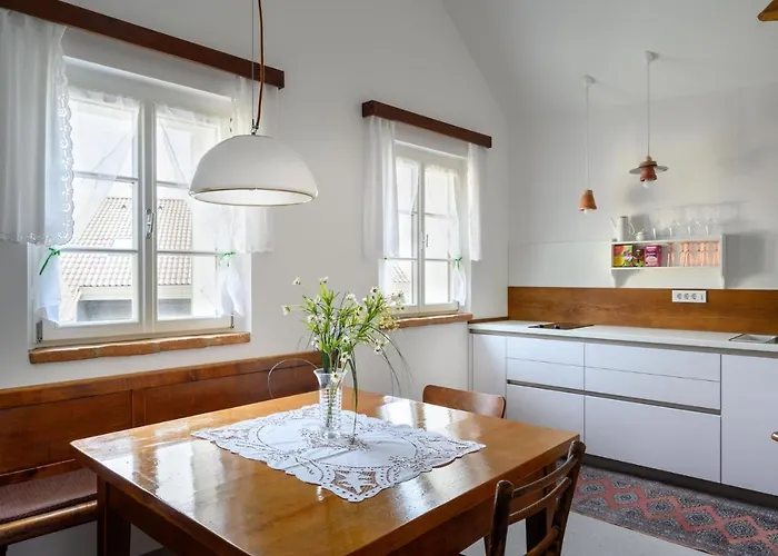 House 1797 - Charm Of Slovenian Vintage Apartment